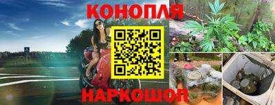 прущие крисы Анапа