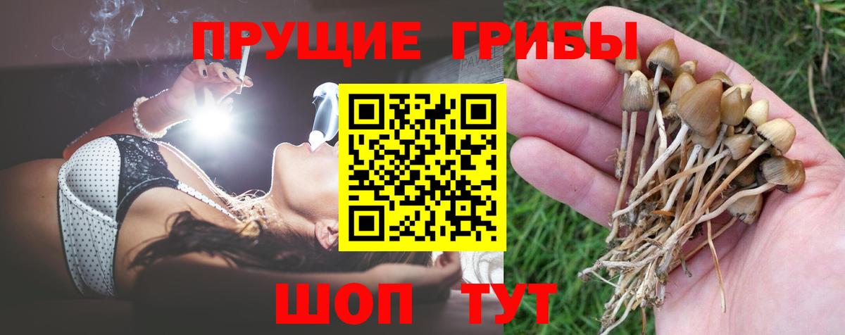 Псилоцибиновые грибы прущие грибы Сорочинск